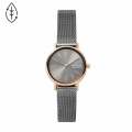 Skagen Signatur Lille Two-Hand Rose Gold  Stainless Steel Women's Watch | SKW2996