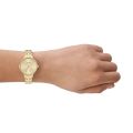 Skagen Anita Lille Three-Hand Gold Stainless Steel Woman's Watch | SKW3127