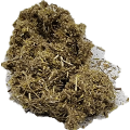 Imphepho Helichrysum petiolare Licorice-plant  50 grams milled