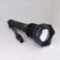 Zoomable LED Security Light