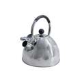 3.2L Steel Glass-Inner Vacuum Insulated Flask and 3L Stovetop Whisting Kettle