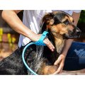 Premium Dog Wash Brush - Sprayer and Scrubber Tool in One - Indoor/Outdoor Dog Washing Supplies - D