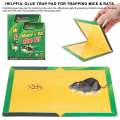 Mouse Glue Trap ( Big - Packs of 2)