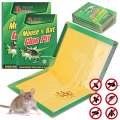Mouse Glue Trap ( Big - Packs of 2)