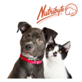 Nutribyte Large to Giant Breed Puppy Dog Food - 8 kg