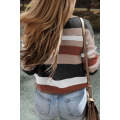 Taupe Classic Round Neck Colorblock Knit Sweater
