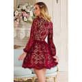 Wine Red V Neck Lace Skater Mini Dress