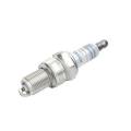 BOSCH Spark Plug WR6D+ (Single)