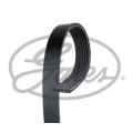 Multi-V Belt (6PK2270) [Gates]