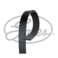 Multi-V Belt (6PK2373) [Gates]