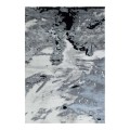 Elit Forest Grey Black Rug