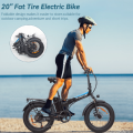 BAOLUJIE DZ2001 Electric Bike 20A