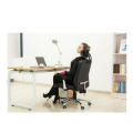 SSZA Black Office Chairs - Executive Mid-Back Ergonomic - Pack of 2