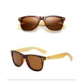 Sekelboer Polarized Bamboo Savannah Gaze