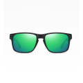 Sekelboer Emerald Insight Polarized Sunglasses