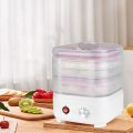 Food Dehydrator and Air Dryer