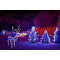 3D LED Christmas Deer Light Display
