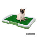 Potty Pad And Training For Cats and Dogs