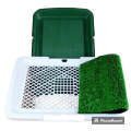 Potty Pad And Training For Cats and Dogs