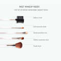 Makeup Brushes set of 5