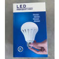 LED Emergency Bulb E27 Daylight Intelligent