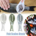 Fish Scale Remover with Clear Cover for Kitchen