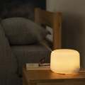 Aroma Diffuser with LED Light