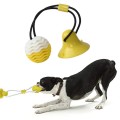 Dog Chew Toothbrush Toy