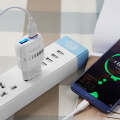 Micro Charger Set with Double Port Charging Head