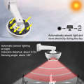Solar LED Light - Camera Simulation - Solar Rechargeable
