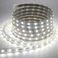 LED 5050 Strip Light - 6MM