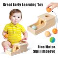 Toddler Wooden Object Permanence Box & 4 Balls- Educational Toy