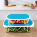 Food Storage Containers - 2 Piece Rectangle Tempered Glass Food Storage Containers with Plastic R...