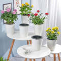 Self-Watering Planter Pots - Modern Decorative Set of 6 Self Watering Planter Pots
