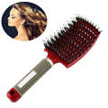Hair Scalp Massage Comb Hairbrush Bristle Nylon Women Curly Detangle Hair Brush for Salon Hairdre...
