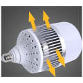 E27 100W 6500K LED Smart Light Bulb DRFLB100W