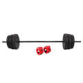 50kg Home Gym Dumbbell Set with 6 Plates and 2 Spin Lock Collars