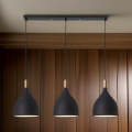 3-Light Indoor Hanging Pendant Decorative LED Light DRSPE57