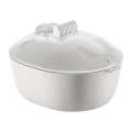 Smart Antibacterial Defrosting Tray With Drip Basket And Transparent Lid DC-250