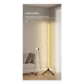 USB LED Floor Stand Atmosphere Lamp AT-161