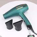 8500W Professional Salon Hair Styling Hair Dryer EN-6009