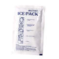 Anti-Inflation Ice Pack 1831399