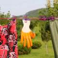 180cm Adjustable Clothesline Washing Line With 12 Clips F49-8-1069DP