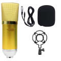 Professional Condenser Studio Microphone -M18