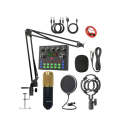 Professional Podcast Condenser Microphone With Sound Card Set Q-SK8