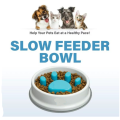 Pets Easy-to-Clean BPA-Free Slower Feeder Bowl RB -21