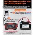12V Multi-Functional Intelligent Pulse Repair Battery Charger NG-146