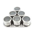 6 Piece Stainless Steel Magnetic Spice Rack BA-223