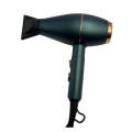 3-in-1 Perfect Styling Hair Dryer AO-49963