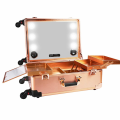 Professional Makeup Station Case Box Stand with Lights Mirror and Wheels